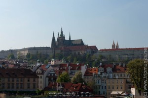 IMG_5490