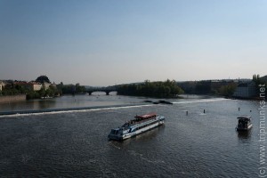 IMG_5491