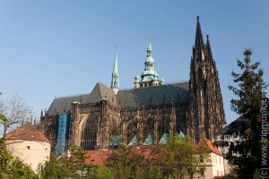 IMG_5518