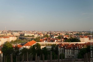 IMG_5540