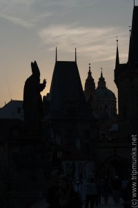 IMG_5564