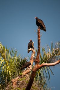 IMG_5769