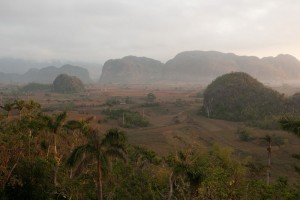 IMG_5819