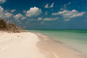 IMG_5834