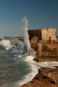 IMG_5942