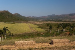 IMG_6010