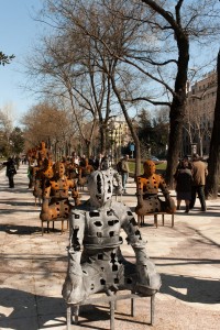 IMG_2204