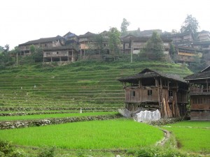 17zhonglu
