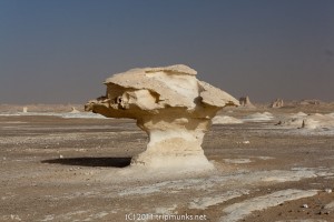 IMG_1694