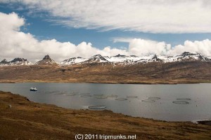 IMG_1939