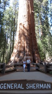 General Sherman