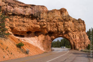 Red Canyon