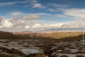 Dixie Forest Pass (GSEM-Overlook)