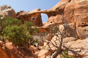 Double-O-Arch