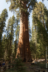 General Sherman