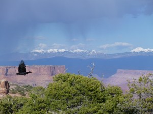 P1020333