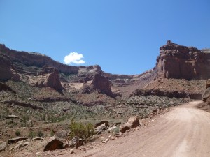 P1020390