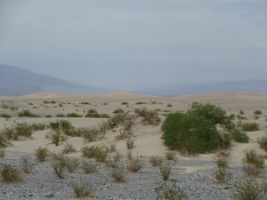 Sand Dunes