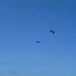 05.18. – A sunny day in San Francisco