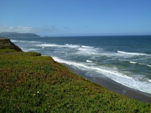 Pacifica