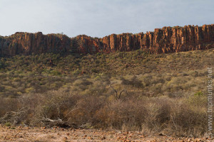 Waterberg