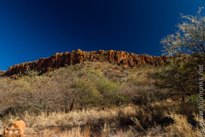 Waterberg