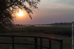 Sonnenuntergang am Kavango - naplemente a Kavango-folyónál