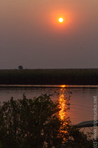 Sonnenuntergang an der Chobe - Naplemente a Chobe-folyónál
