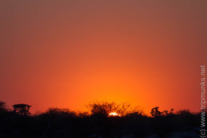 Sonnenuntergang/Naplemente Okaukuejo