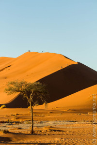 Sossusvlei - Früh am morgen - korán reggel