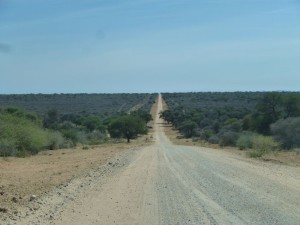 P1030314