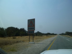 P1030337
