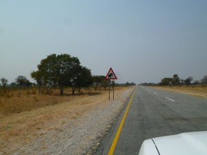 P1030338