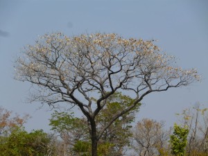 P1030341
