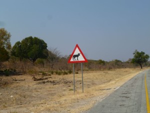 P1030343