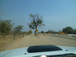P1030346