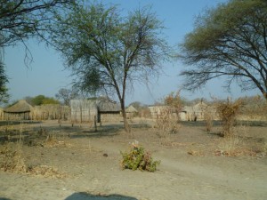 P1030352