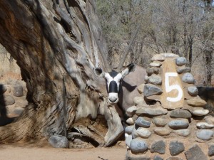 Oryx - Campsite No. 5