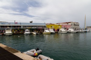 IMG_1278