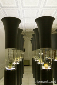 Museum